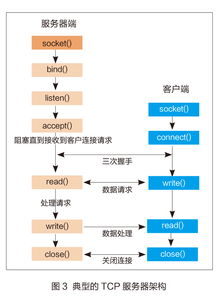 南通大學IPv4與IPv6雙協議棧Web服務器設計與物聯網技術服務集成
